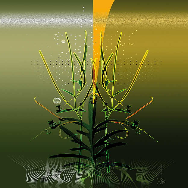 mauvaise herbe